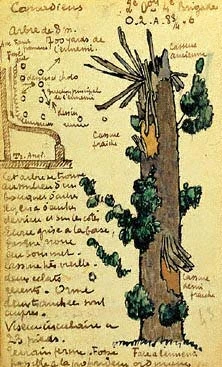 André Mare’s annotated ink and watercolour sketch of an artificial tree, with a technical section beside it.