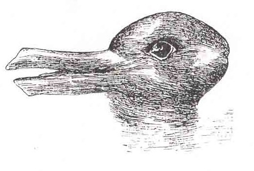 An ambiguous black-and-white head that can be read as a duck facing left or a rabbit facing right.