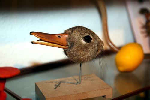 A model duck head with a long orange bill, photographed beside a yellow object.