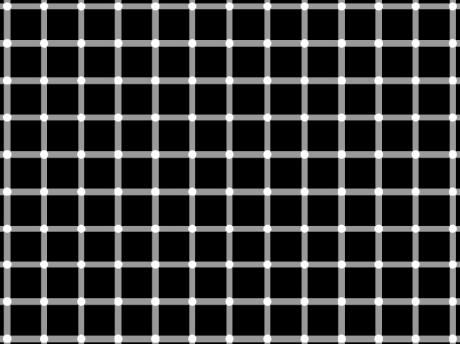 White dots sit at intersections of grey grid lines over black squares in the scintillating grid illusion.