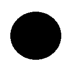 A single black circular flash marker on a white field for a sound-induced flash demonstration.