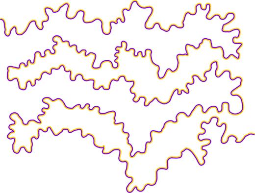 Irregular adjoining regions outlined with paired orange and purple curves in the watercolour illusion.